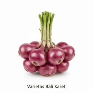 2-Bali Karet