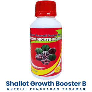 Shallot Growth Booster B