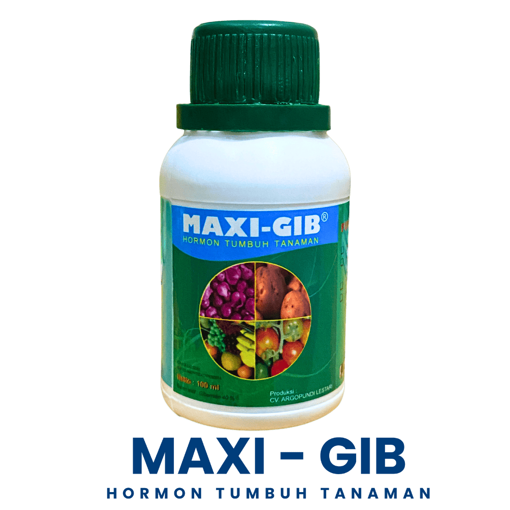 Maxi-GIB
