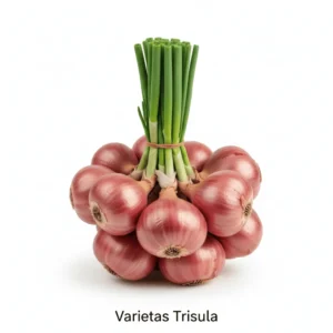 Trisula