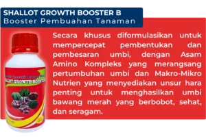 Booster B